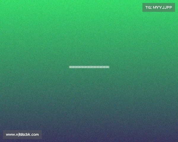 西安体育场今日热点赛事全面深度解析带你一览精彩纷呈盛况